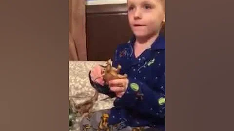 Five-Year-Old Future Dino Expert and YouTuber