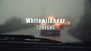 Whitewildbear - Tonight [Chillstep] by Shayan Sadr 444 views 1 year ago 3 minutes, 47 seconds