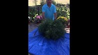 Gardens Alive