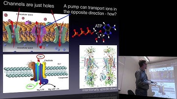 Biophysical Chemistry 2016, lecture 1