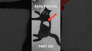 Rare Photos You Were Never Supposed to See Part 283#rarephotos #shorts #history