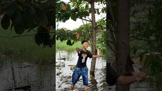 Đua Bo Bo Bobo Mini Thái Chạy Mượt Nhanh Xa Cách Làm Và Cái Kết