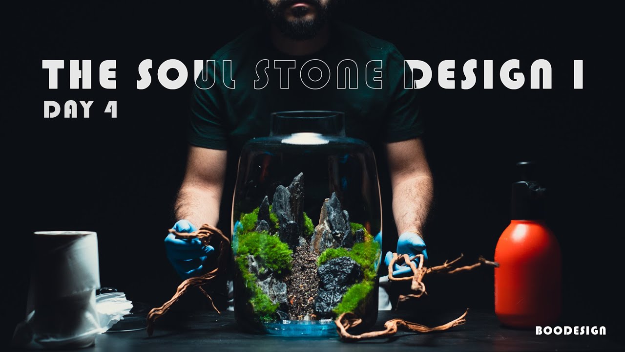 THE SOUL STONE DESIGN I (DAY 4) | خطوة بخطوة عمل تصميم تيراريوم بأسم صخرة الروح (اليوم الرابع)