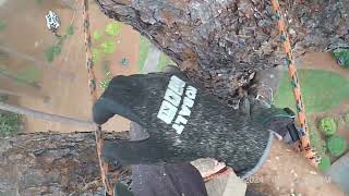 Speed lining large split pine - example of how not to be, if you're a ground man. 🤬