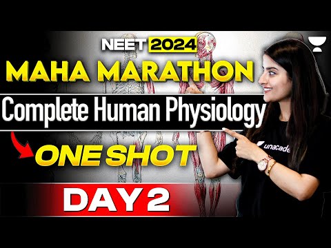 Human Physiology | Maha Marathon | Day 2 | One Shot | 45 Days Crash Course | NEET 2024 | Seep Pahuja