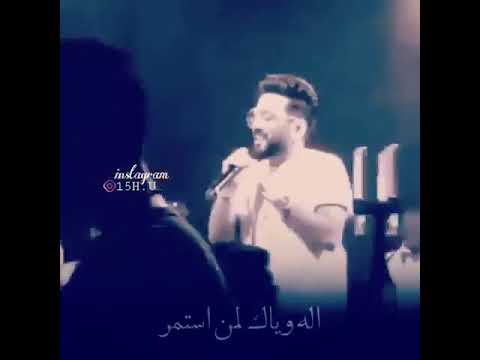 طاير كلبي بشوك