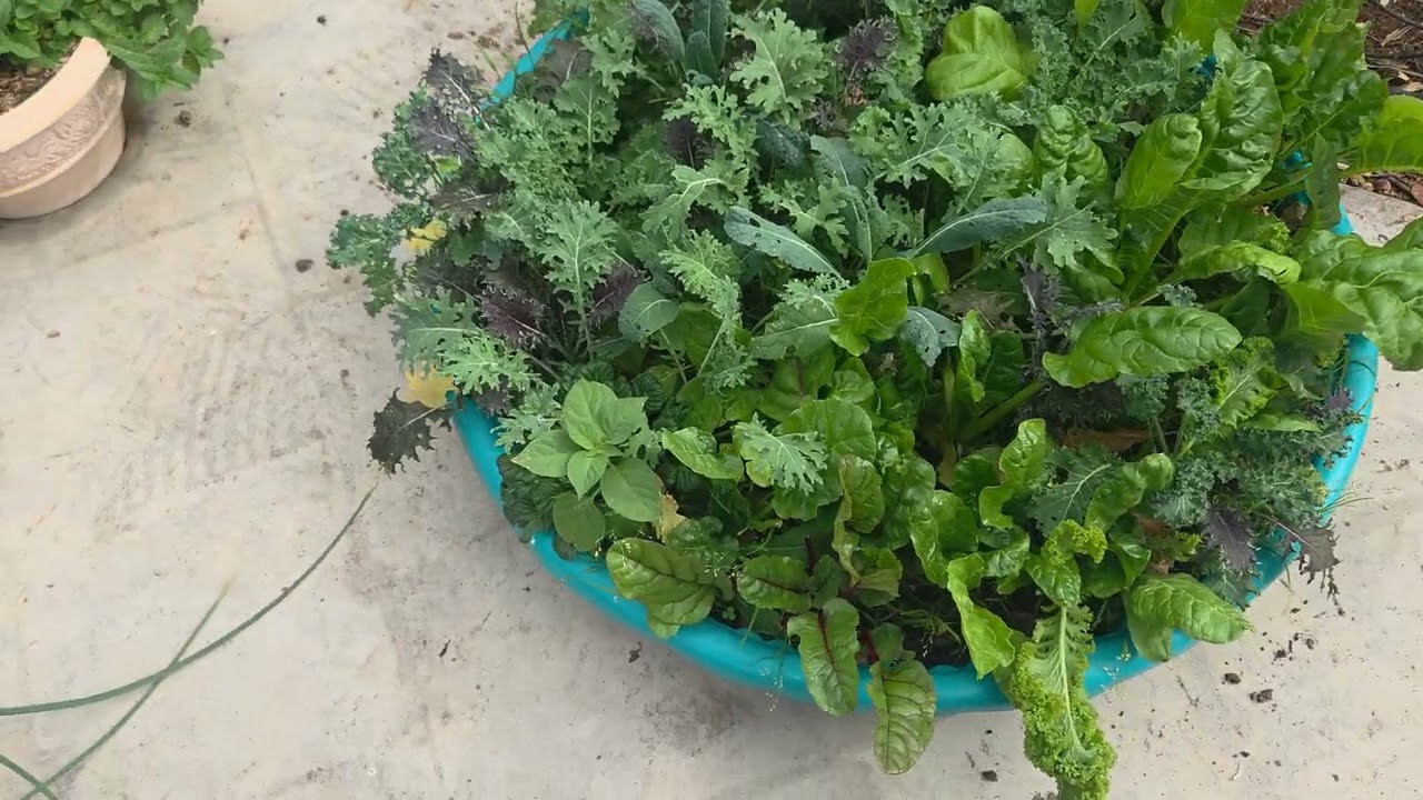 Out with the old and in with the new