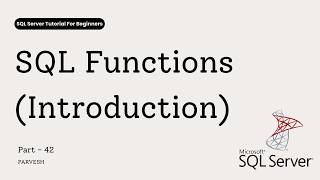 SQL Functions Explained for Beginners Net Worth