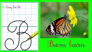 Cách Viết Chữ Hoa Và Chữ Thường Chuẩn Đẹp