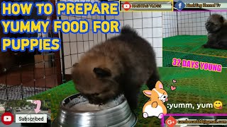 HOW TO PREPARE YUMMY FOOD FOR PUPPIES II HASHTAG VLOGS