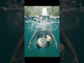 Jungle Girl S01 EP02 - Nadando