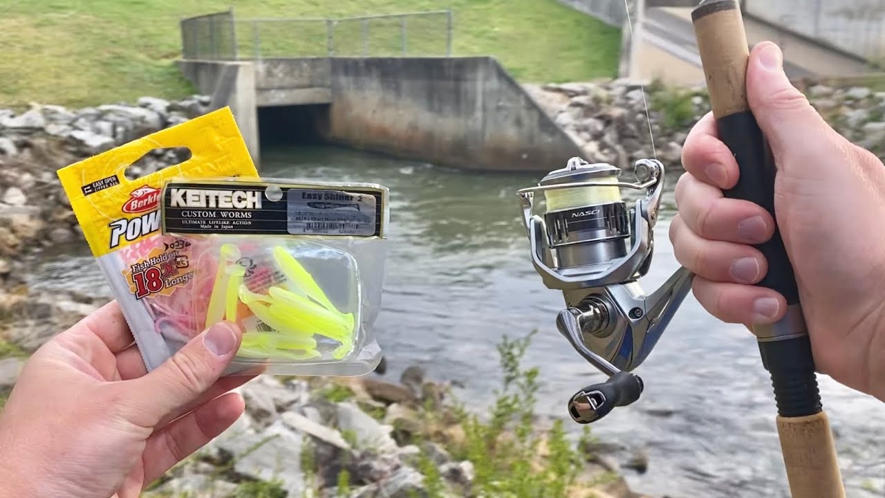 best saltwater fishing rod and reel combo The Best Rod and Reel Combos for Saltwater Fishing