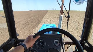 🚜 Перекультивували соняшник 🌻Що тепер робити 🤷 Чим пересівати 🌻🌾🌽🌱