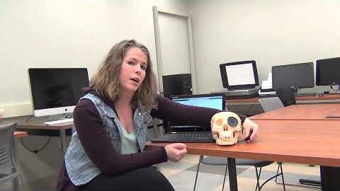 Jessica Knapp, Interactive Exhibit Design