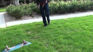 Hardflip Indy Anderson Hall
