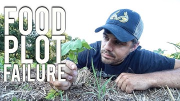 Food Plot Gone Wrong - How I Fixed It  S8 #20