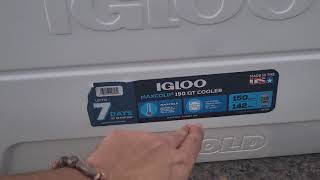 Igloo Maxcold 150Qt Cooler Full Of Ice And Drinks