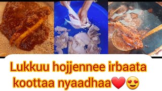 🥰🐓koottaa irbaata nyaadhaa lukkuun hojjetameera🥰