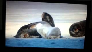 Video Monitor LG 21,5 polegadas