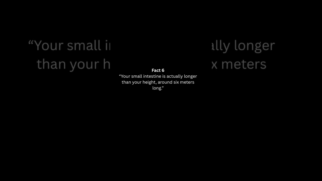 Top 10 most fascinating facts about the human body that will Surprise you! 