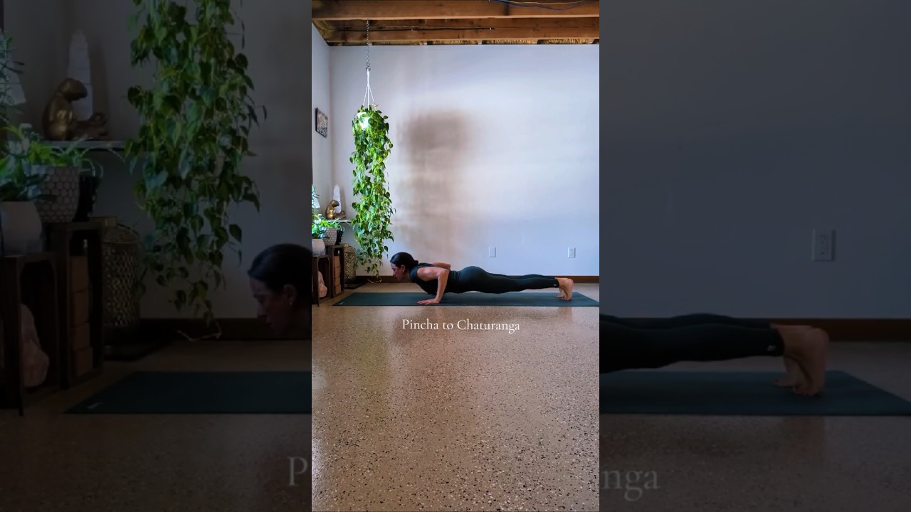 Pincha to Chaturanga Jumpback - Class is Up!!