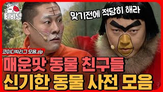 [티비냥] 🐯 안전 주의 🐷 동물원에서 이런 동물을 만나면 즉시 도망치세요 ❗ 인간계 위협하는 마라맛 동물들의 티키타카 🤜🤛 | #코미디빅리그