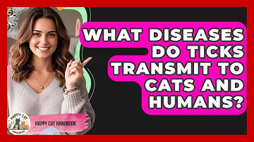 What Diseases Do Ticks Transmit To Cats And Humans? - Happy Cat Handbook