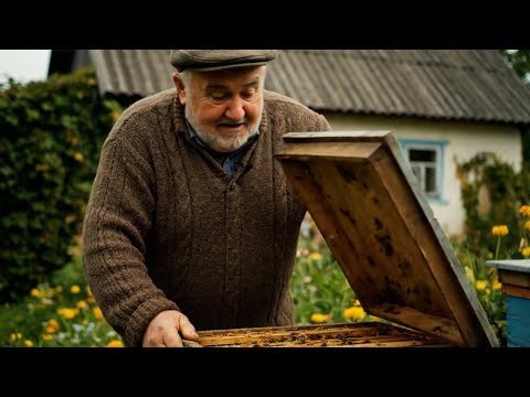 Grandfather and the bees! Beekeeping secrets from Semyonich!
