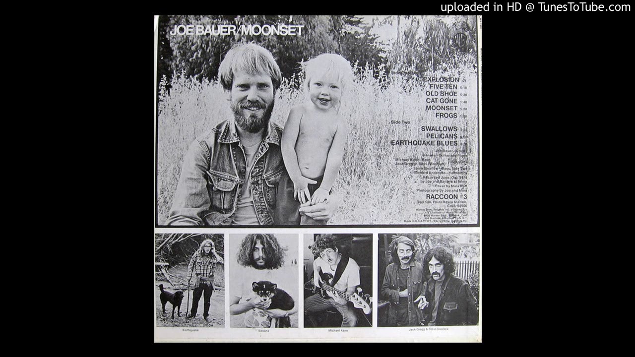 Joe Bauer - Pelicans (Raccoon Records, 1971)