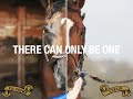 Big Brown vs. Curlin: Smack Talk