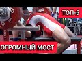 ТОП-5 Пауэрлифтеров/Жимовиков с БЕЗУМНЫМ МОСТОМ | ЖИМ ЛЕЖА