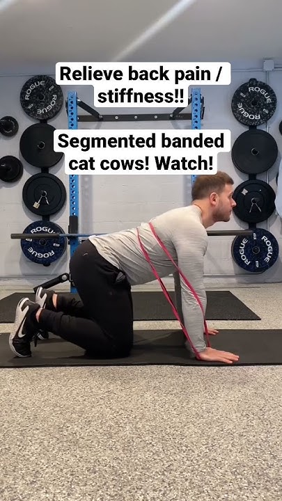 my-go-to-for-back-pain-relief-shorts-backpain-mobility-youtube