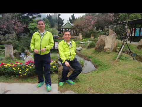 楊明通影片愛情如水向東流 1070303 陽明山櫻花