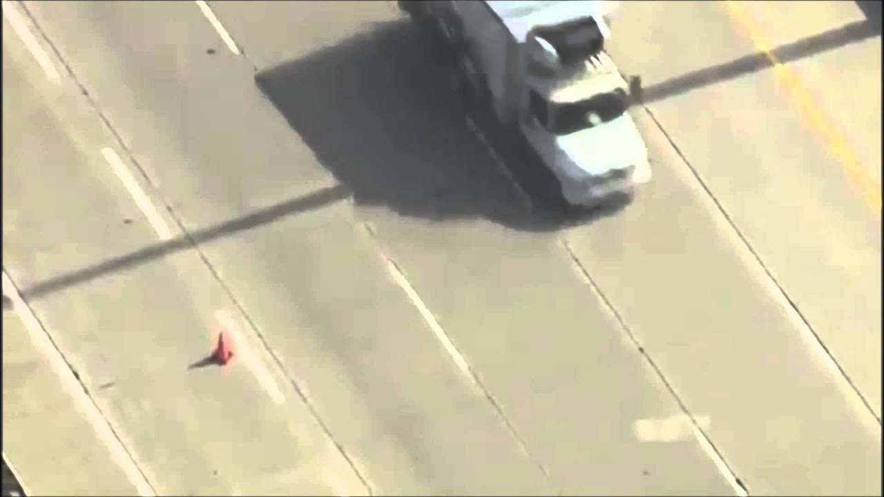 Ducks crossing a four lane highway