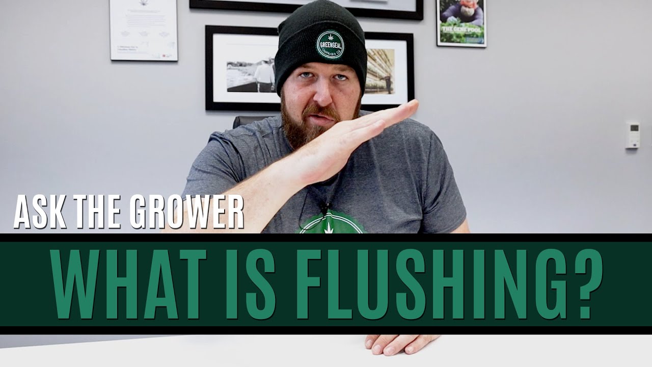 Ask The Grower - What Is Flushing?