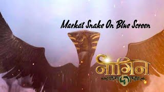 Markat Snake On Blue Screen  Naagin5  By Varun Vfx Studio