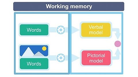 The Role of Working Memory for Learning