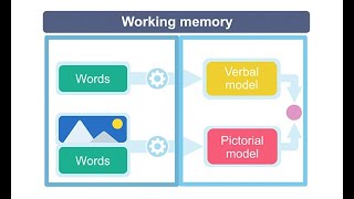 The Role of Working Memory for Learning