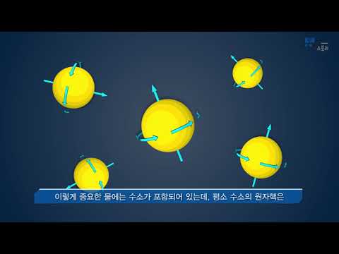 [KBSI 사이언스 스토리] 자기공명영상(MRI)