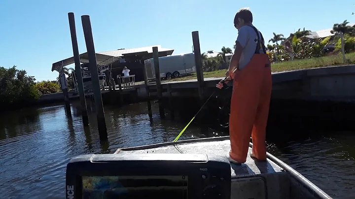 Cast netting mullet max style roe mullet fishing