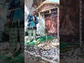 @okitangmungor