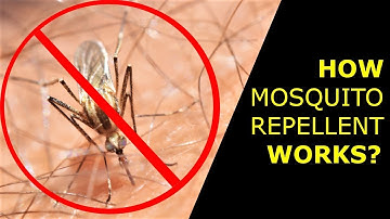 What is DEET? How Mosquito Repellent Works