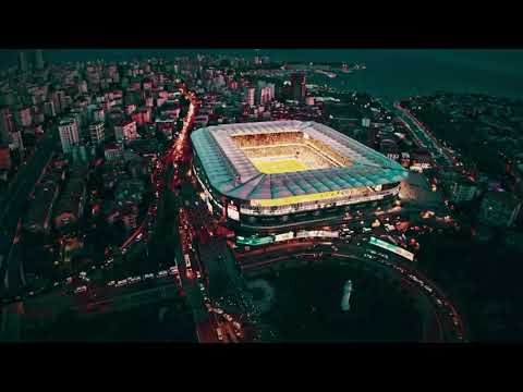 Kanım Sarı Lacivert