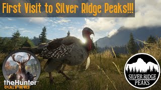 How is that Not a Heart Shot?! First Visit to Silver Ridge Peaks!!! theHunter Call of the Wild