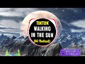 [tiktok] Walking In The Sun (DJ Thailand) Remix Tiktok 2020 (Bản Chuẩn) || Bài Hát Hot Tiktok