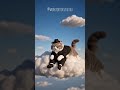 ☁️ Sleepy Cloud Cat 🐱💤 Dreamy Cozy Animation #shortsviral