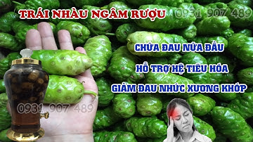 Cách ngâm rượu trái nhàu chữa đau nữa đầu, đau nhức xương khớp