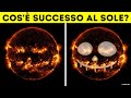Questa Foto Sembra Divertente, Ma Nasconde Qualcosa di Pericoloso