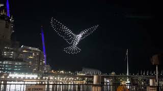 Drone Show in Sydney 2 shows every Saturday 7:30 pm and 9:30 pm (September only) #australia 