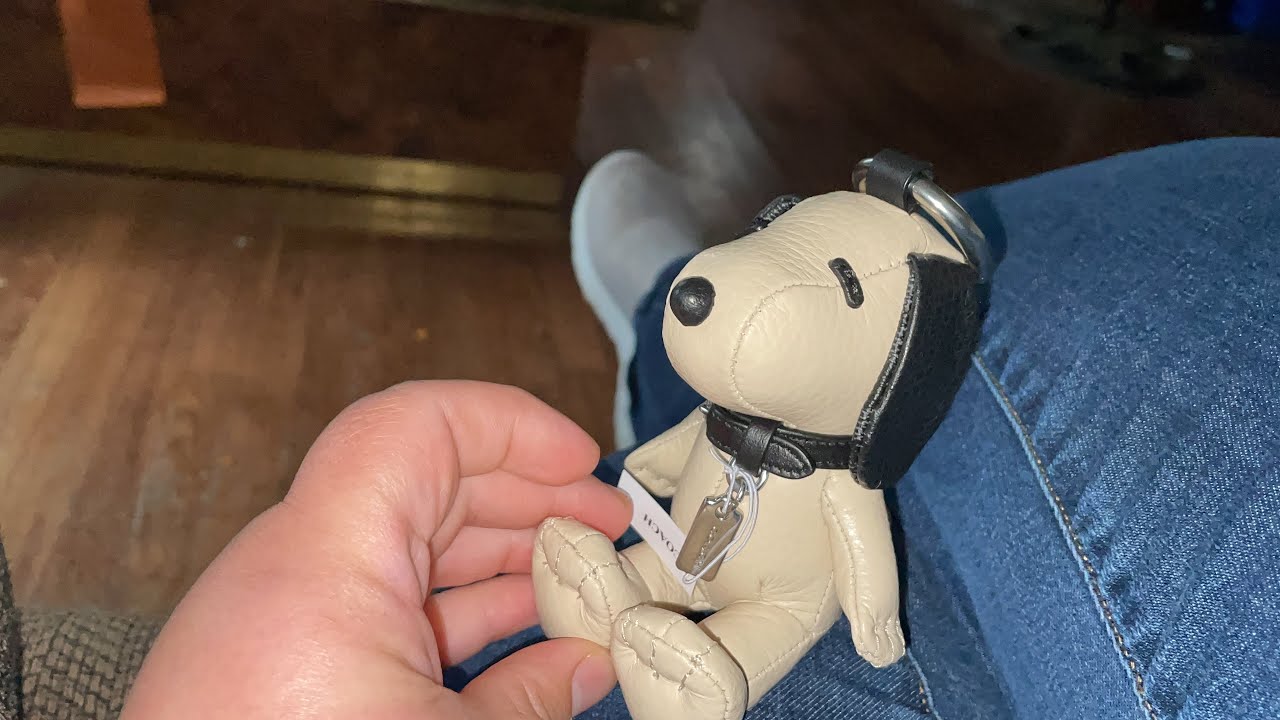 Unboxing a plush snoopy coach x peanuts key chain from Coach Outlet